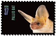 Bat Stamp