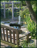 Homespun Farm's Koi Pond