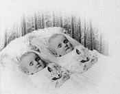 One of Twins by Ambrose Bierce