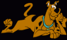 Scooby Doo Rules!